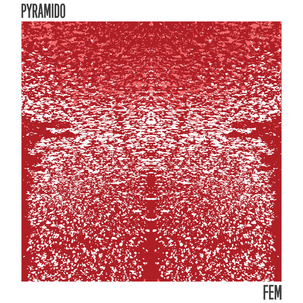 Pyramido – FEM vinyl record cover