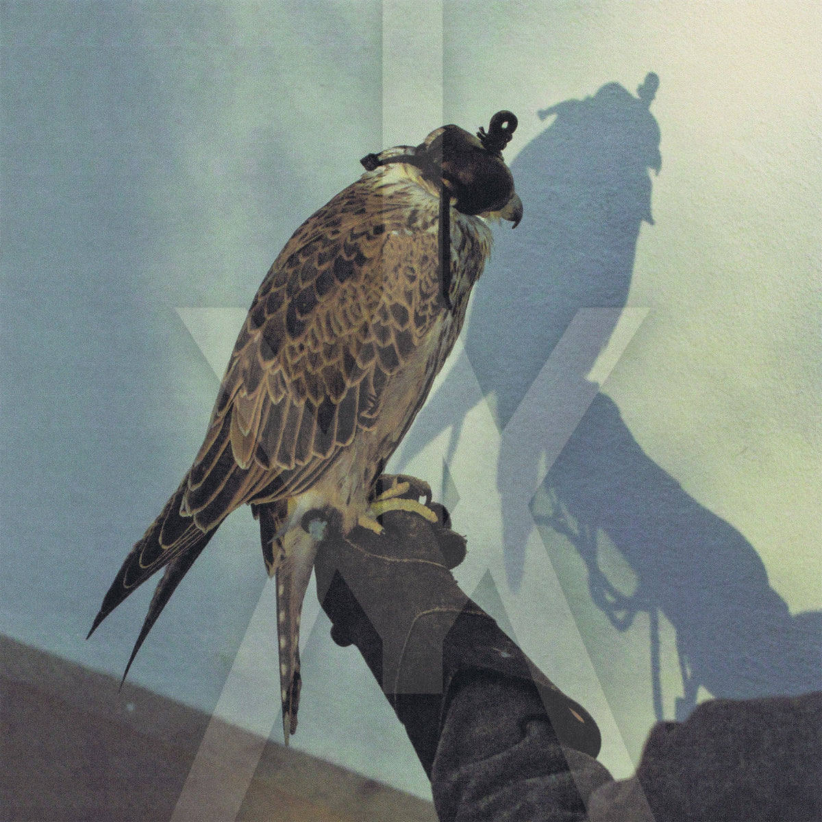 Iceage – You're Nothing vinyl record cover