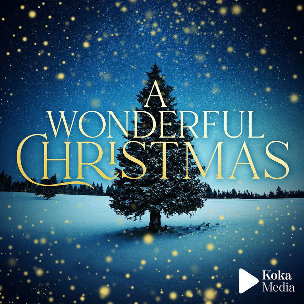 Various Artists – A Wonderful Christmas vinyl record cover
