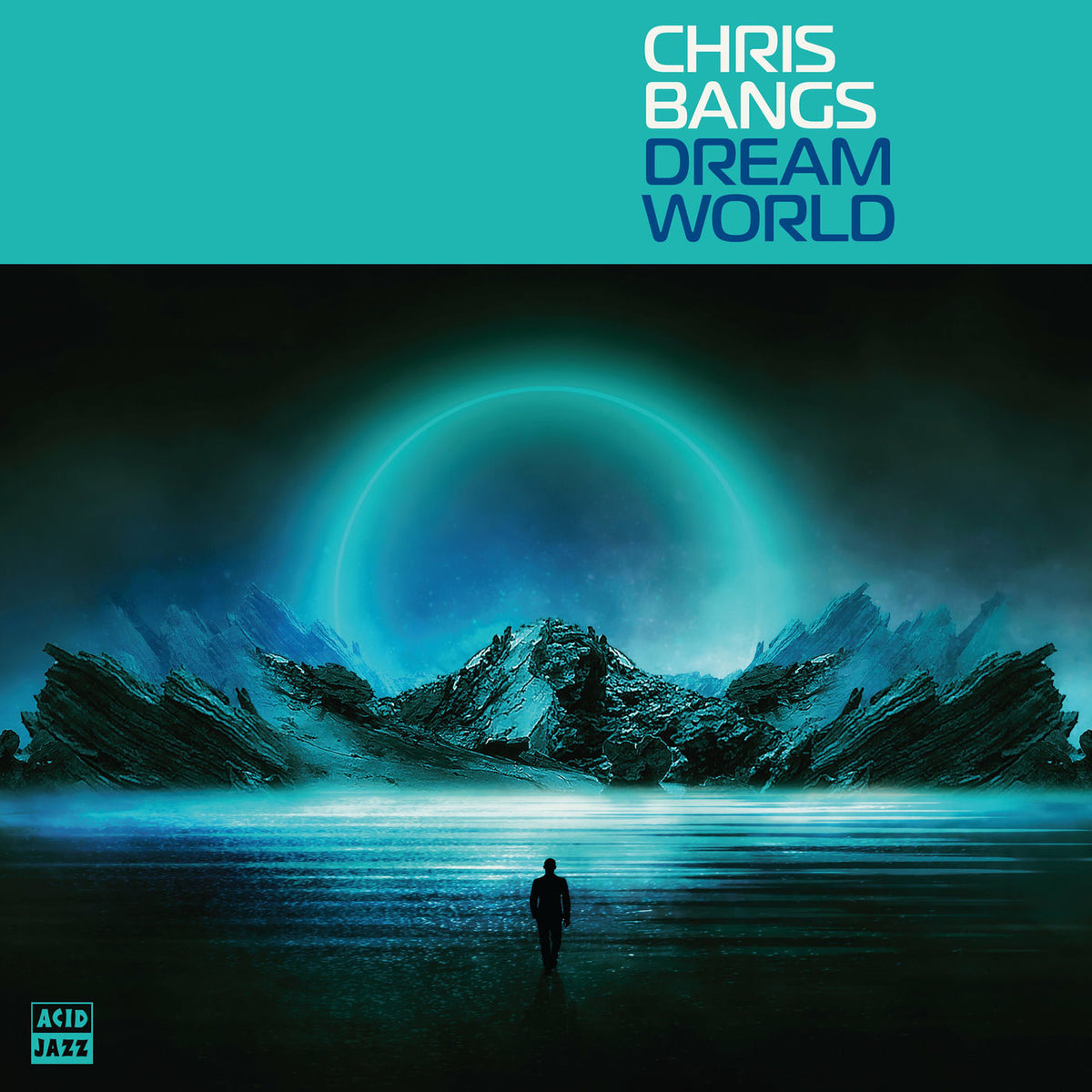 Chris Bangs – Dream World vinyl record cover