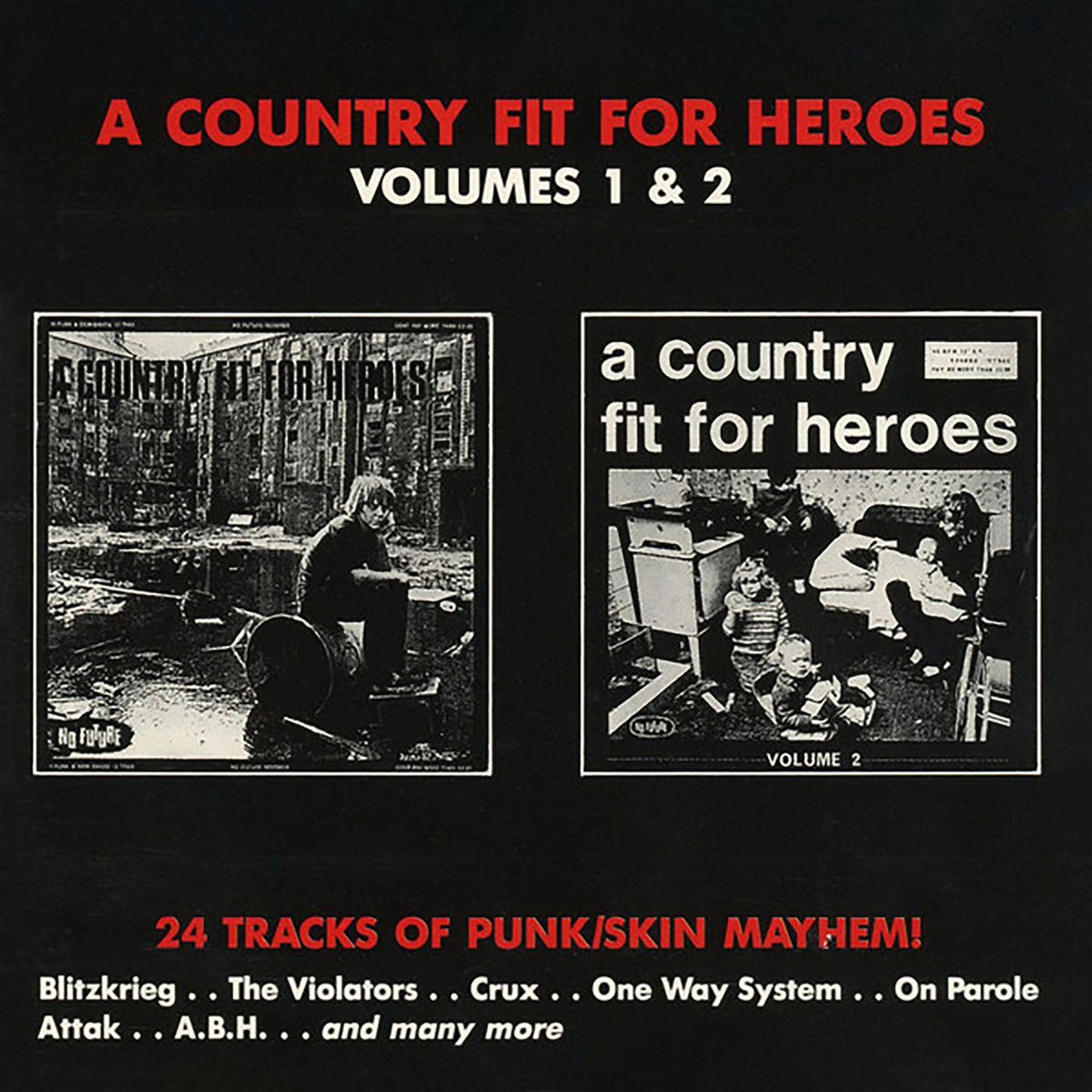 Various Artists – A Country Fit For Heroes 2 vinyl record cover