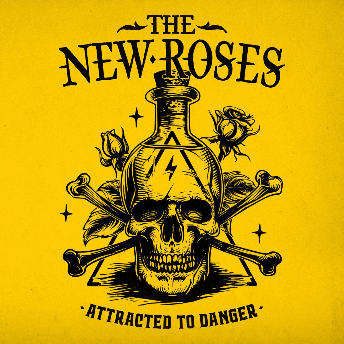 The New Roses – Attracted to Danger vinyl record cover