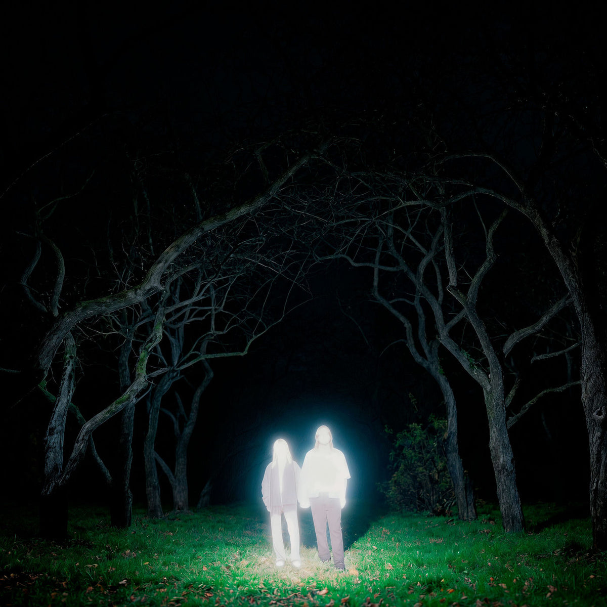 Gnoomes – Losey vinyl record cover