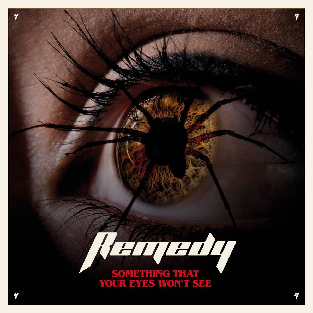 Remedy – Something That Your Eyes Won'T See vinyl record cover