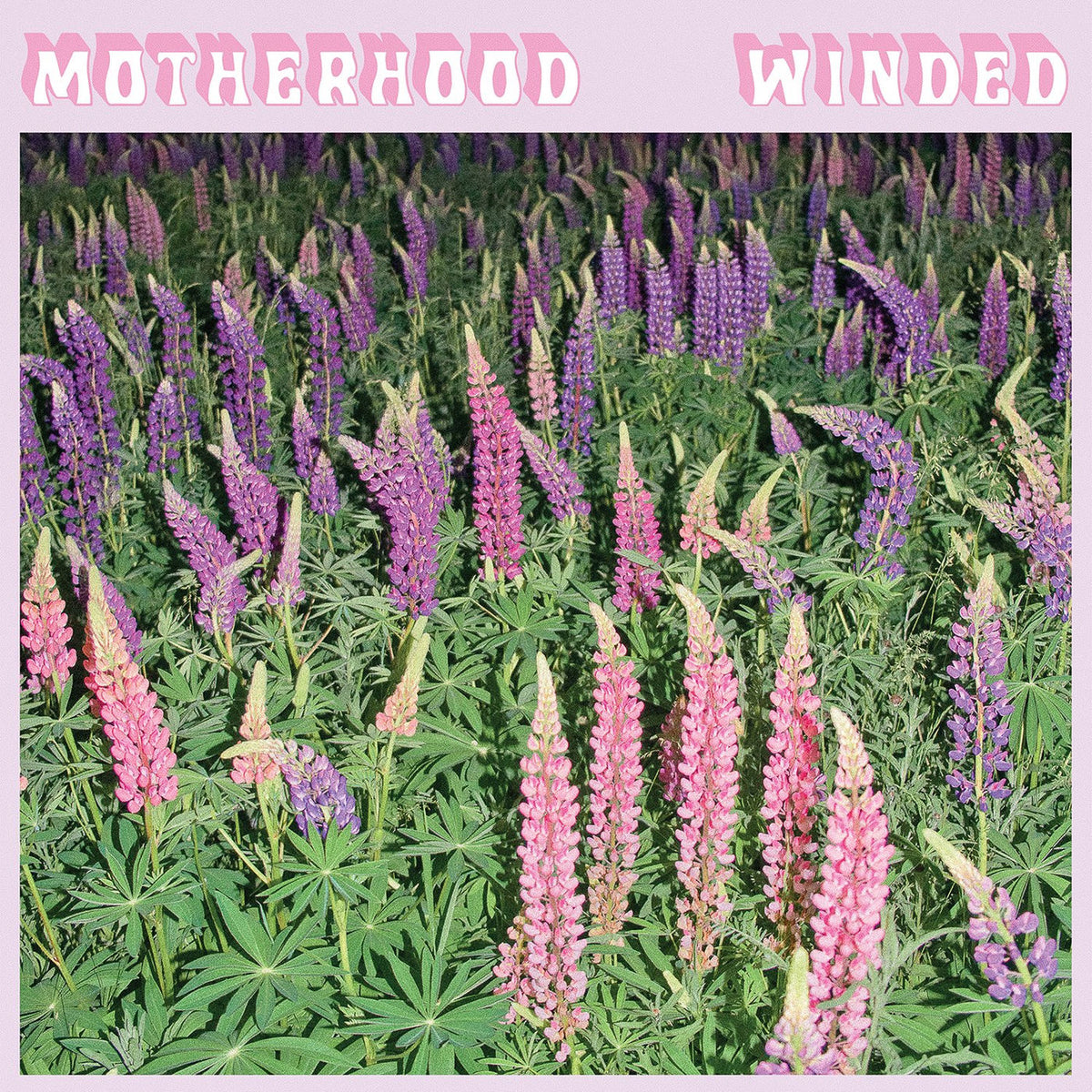 Motherhood – Winded vinyl cover