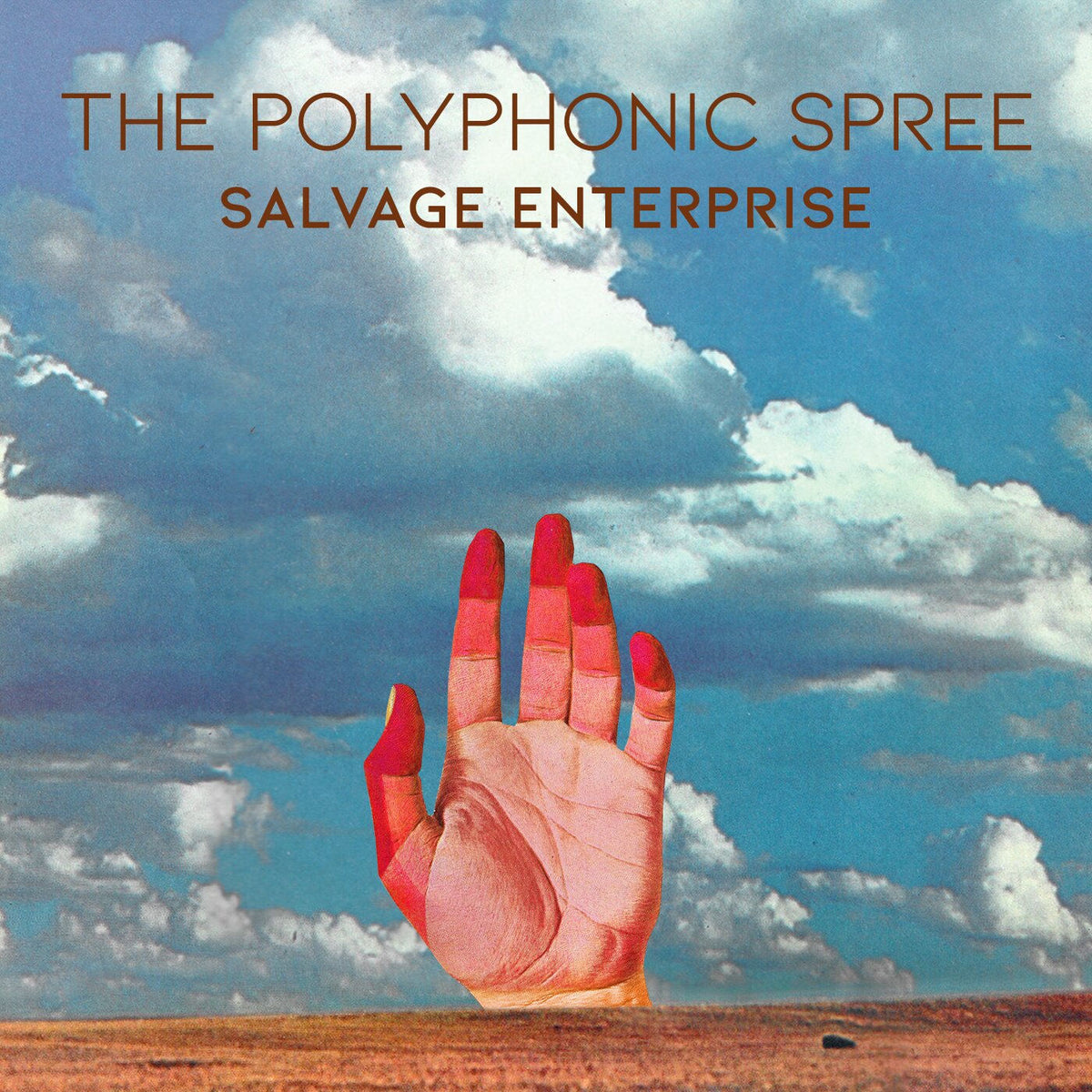 The Polyphonic Spree – Salvage Enterprise vinyl record cover