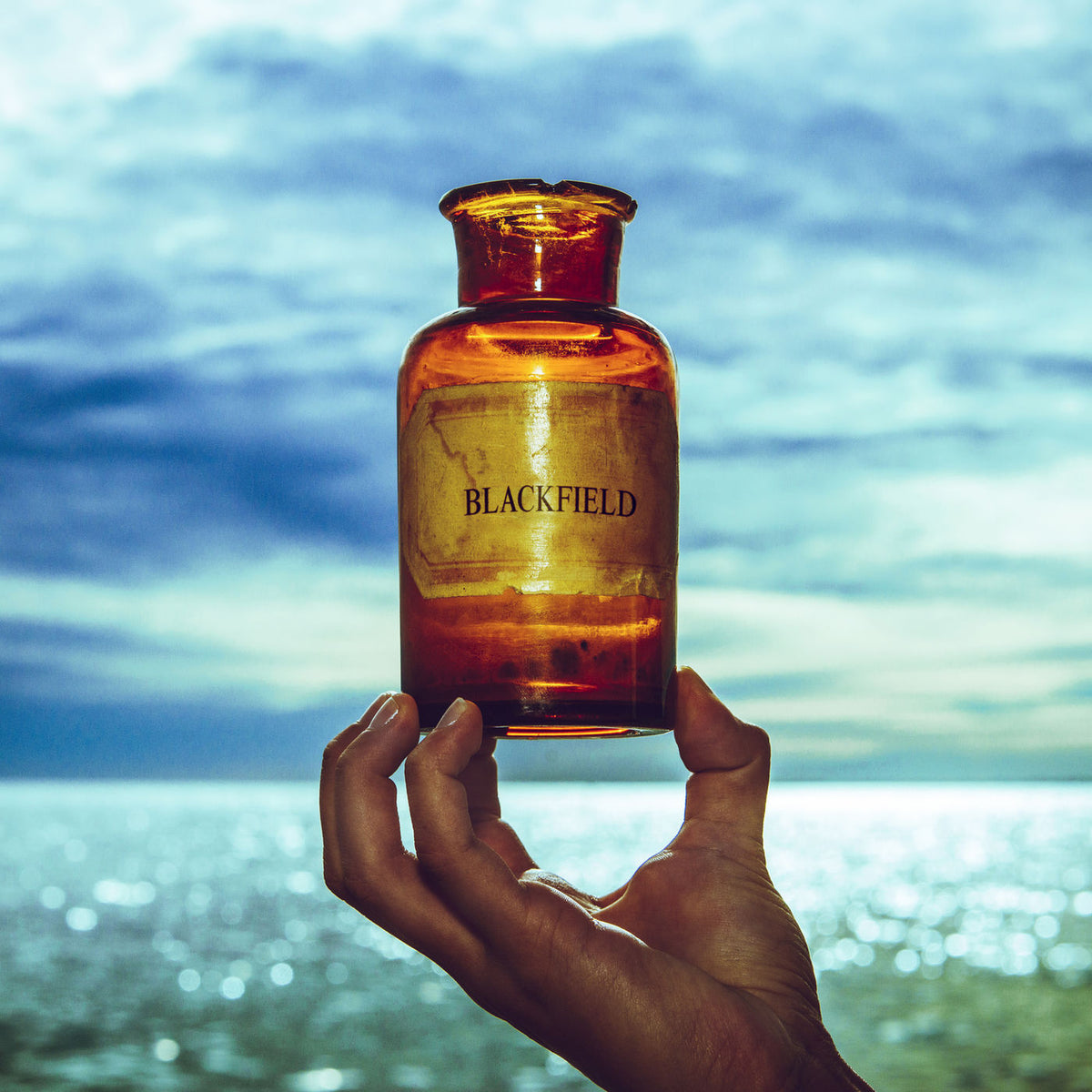 Blackfield – Blackfield V vinyl record cover