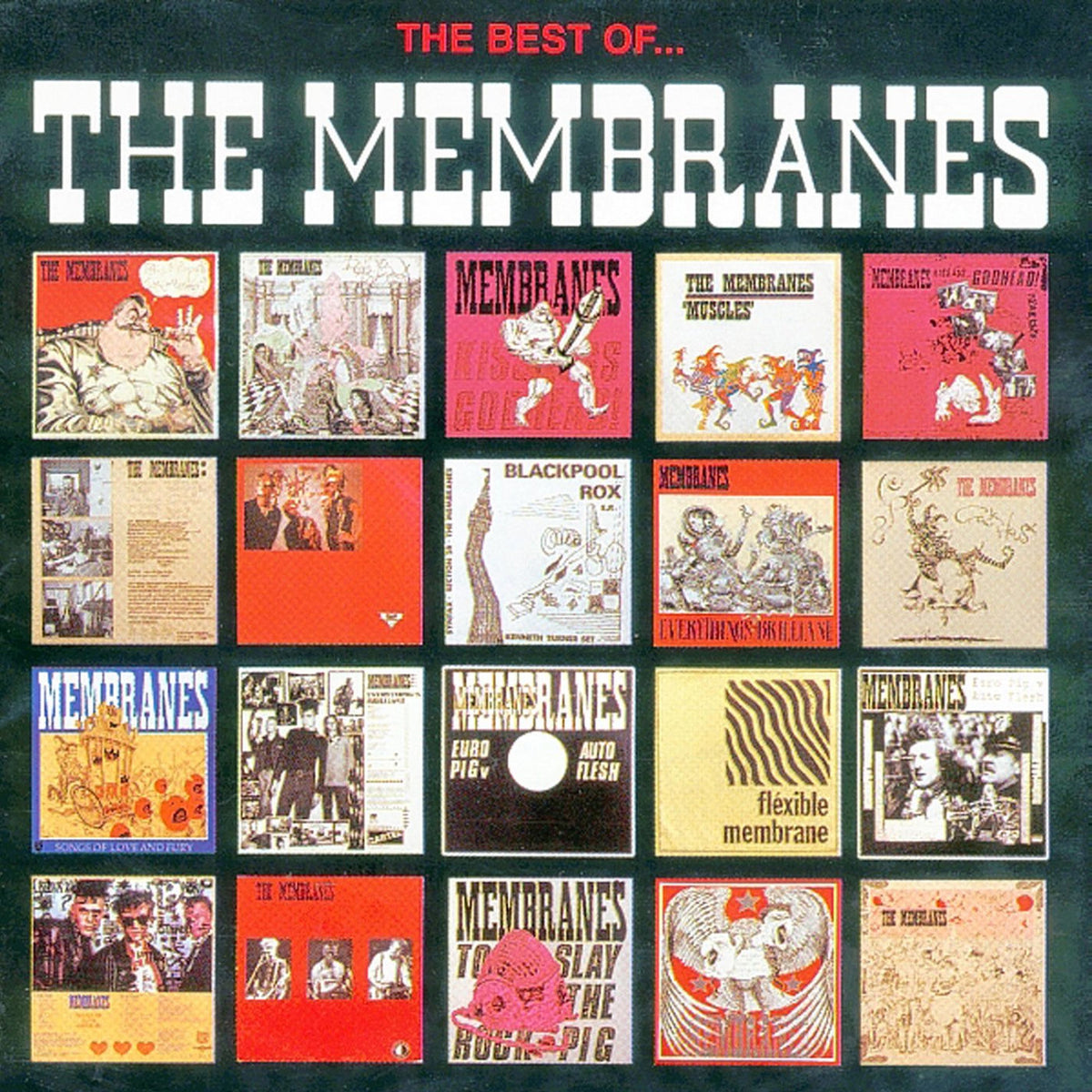 The Membrains – The Best Of? vinyl cover
