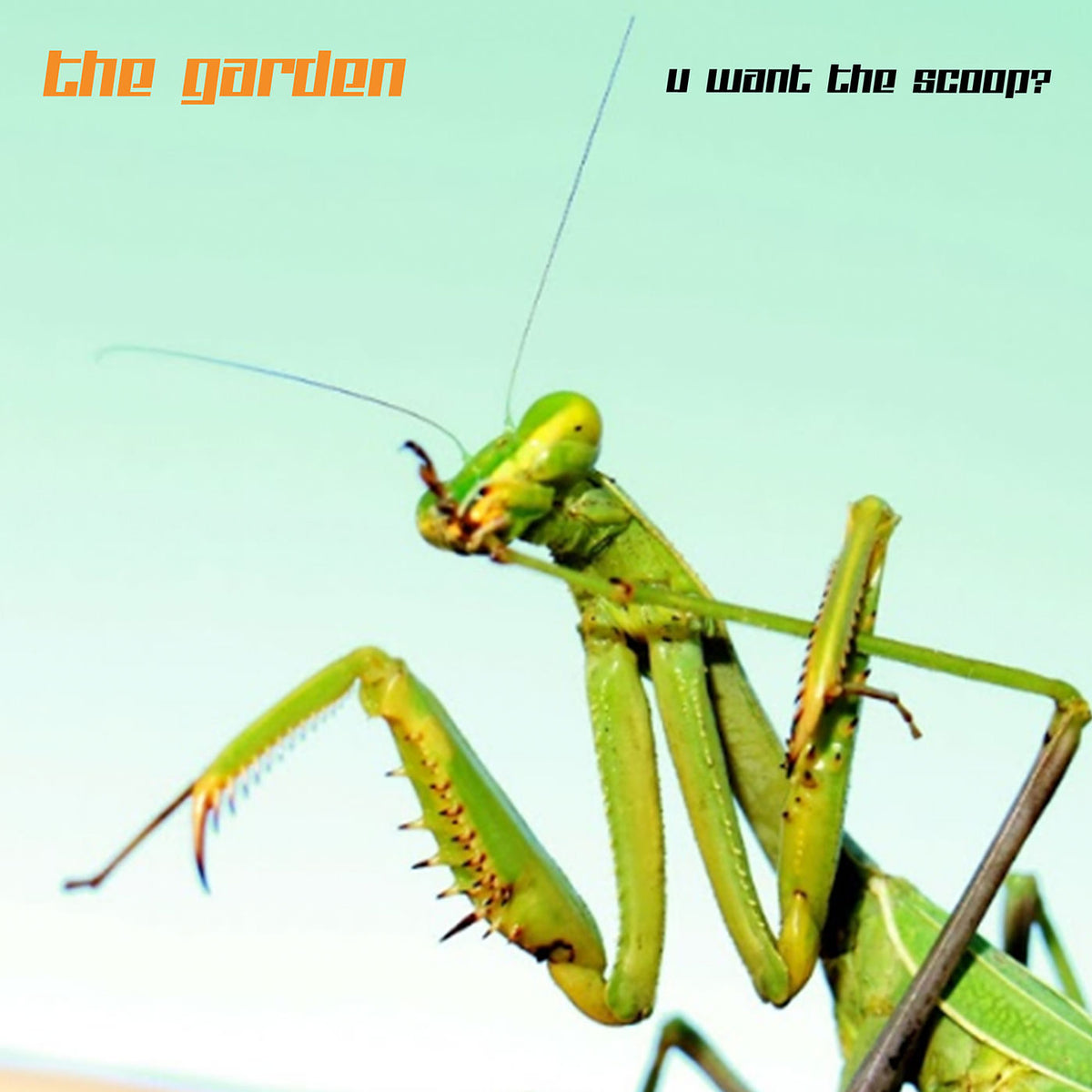 The Garden – U Want The Scoop? vinyl cover