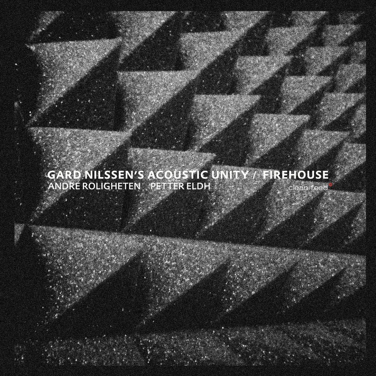 Gard Nilssen S Acoustic – Firehouse vinyl record cover