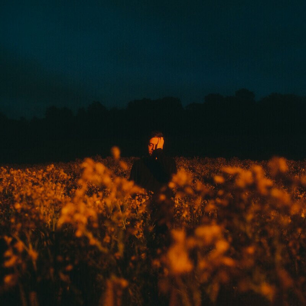 Benjamin Francis Leftwich – Some Things Break vinyl record cover
