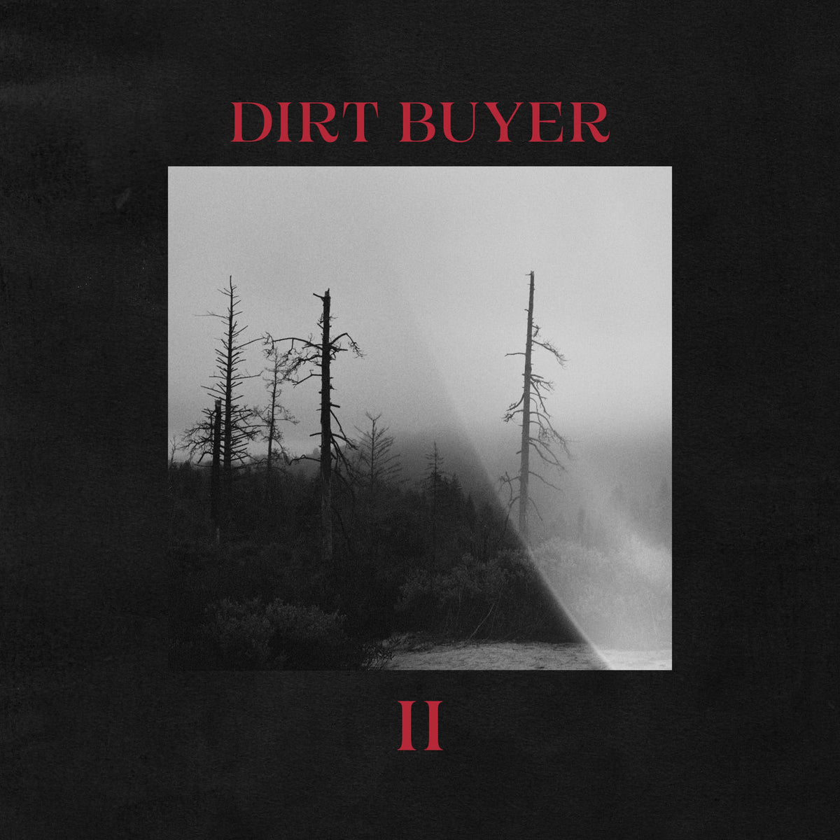 Dirt Buyer – Dirt Buyer II vinyl record cover
