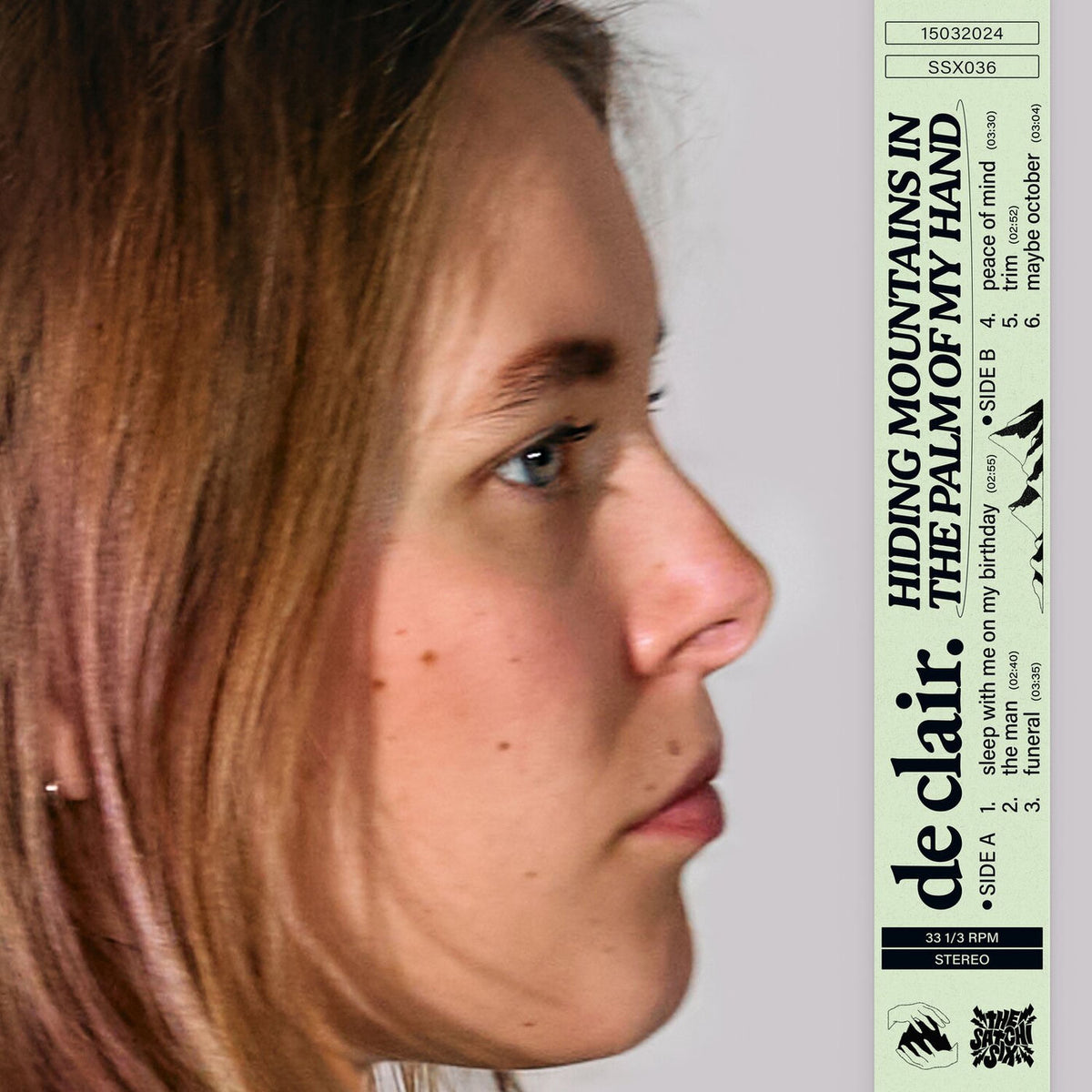 de clair. – hiding mountains in the palm of my hand vinyl cover
