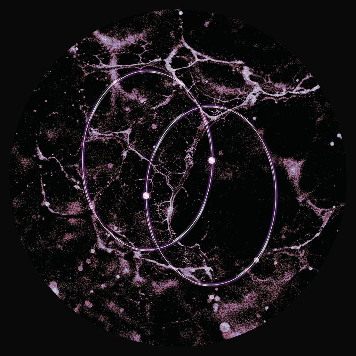 Len.Leo – Echolocation vinyl cover