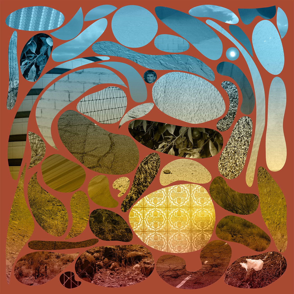 Pedro the Lion – Phoenix vinyl cover