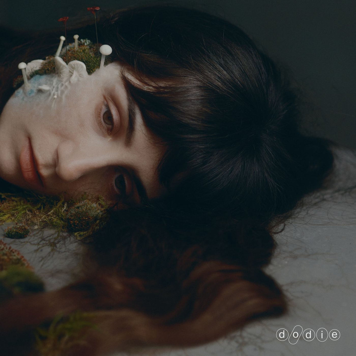 Dodie – Not For Lack Of Trying (Signed Insert) (Indies) vinyl record cover