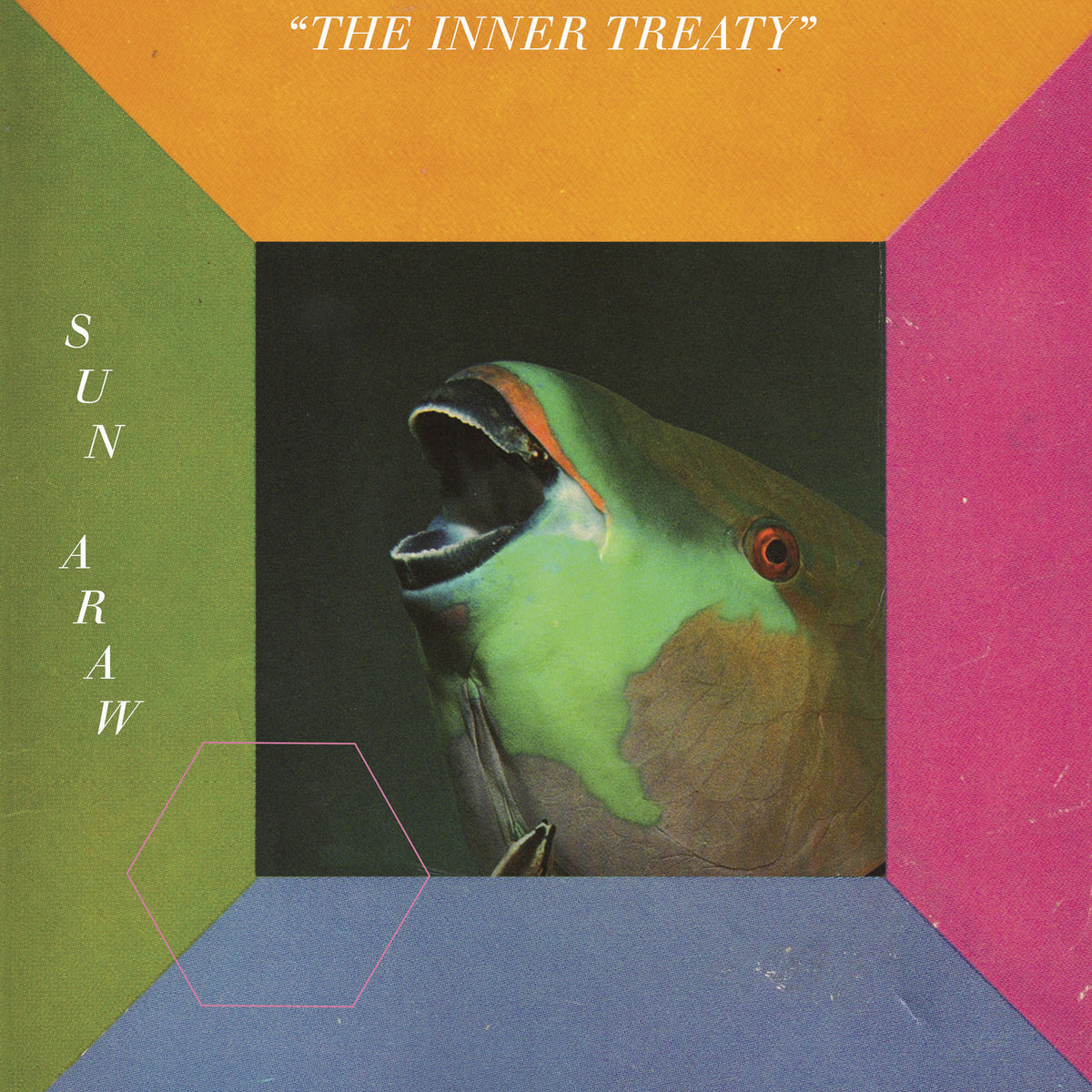 Sun Araw – The Inner Treaty vinyl record cover