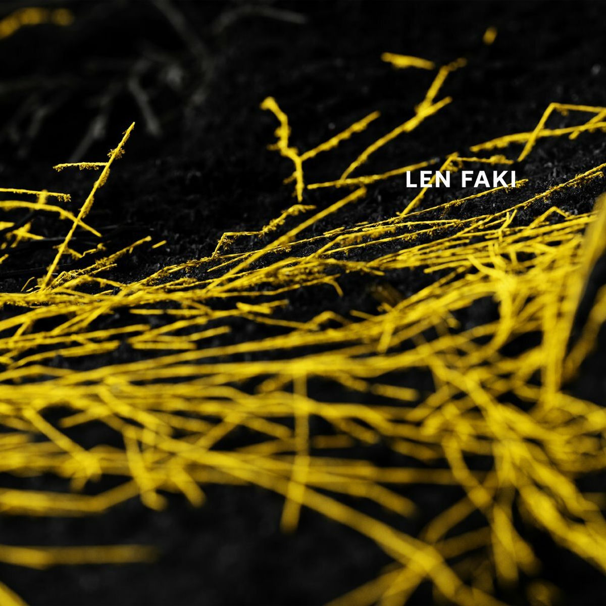 Len Faki – Fusion EP 02/03 vinyl cover