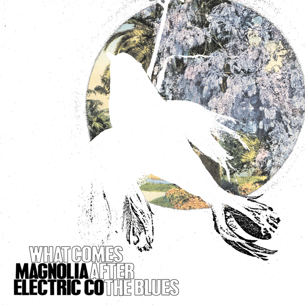 Magnolia Electric Co. – What Comes After The Blues vinyl cover
