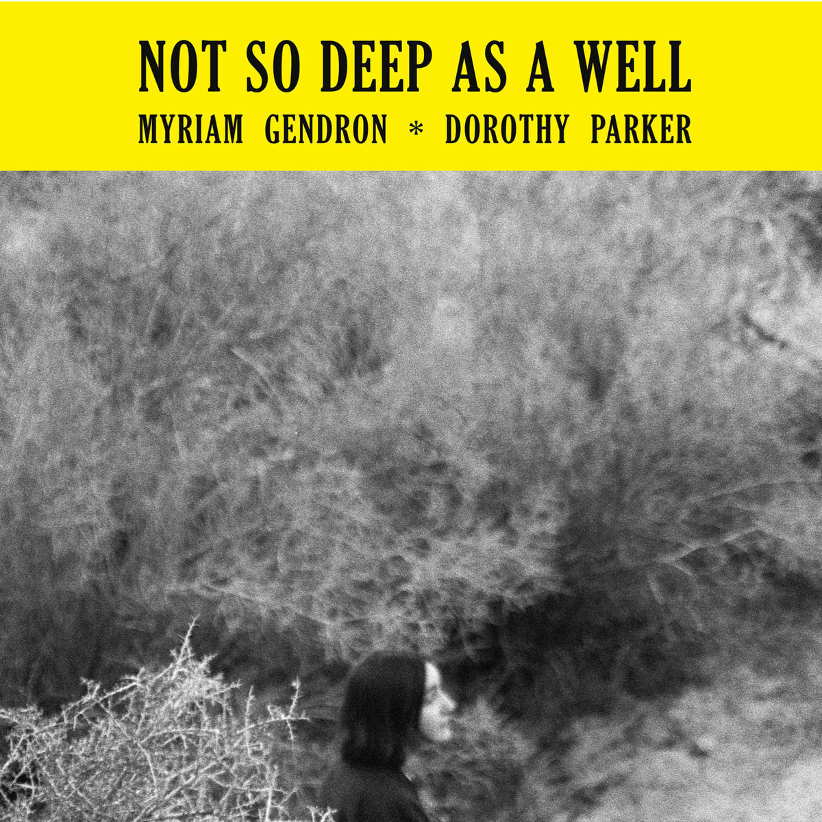 Myriam Gendron – Not So Deep As a Well vinyl record cover