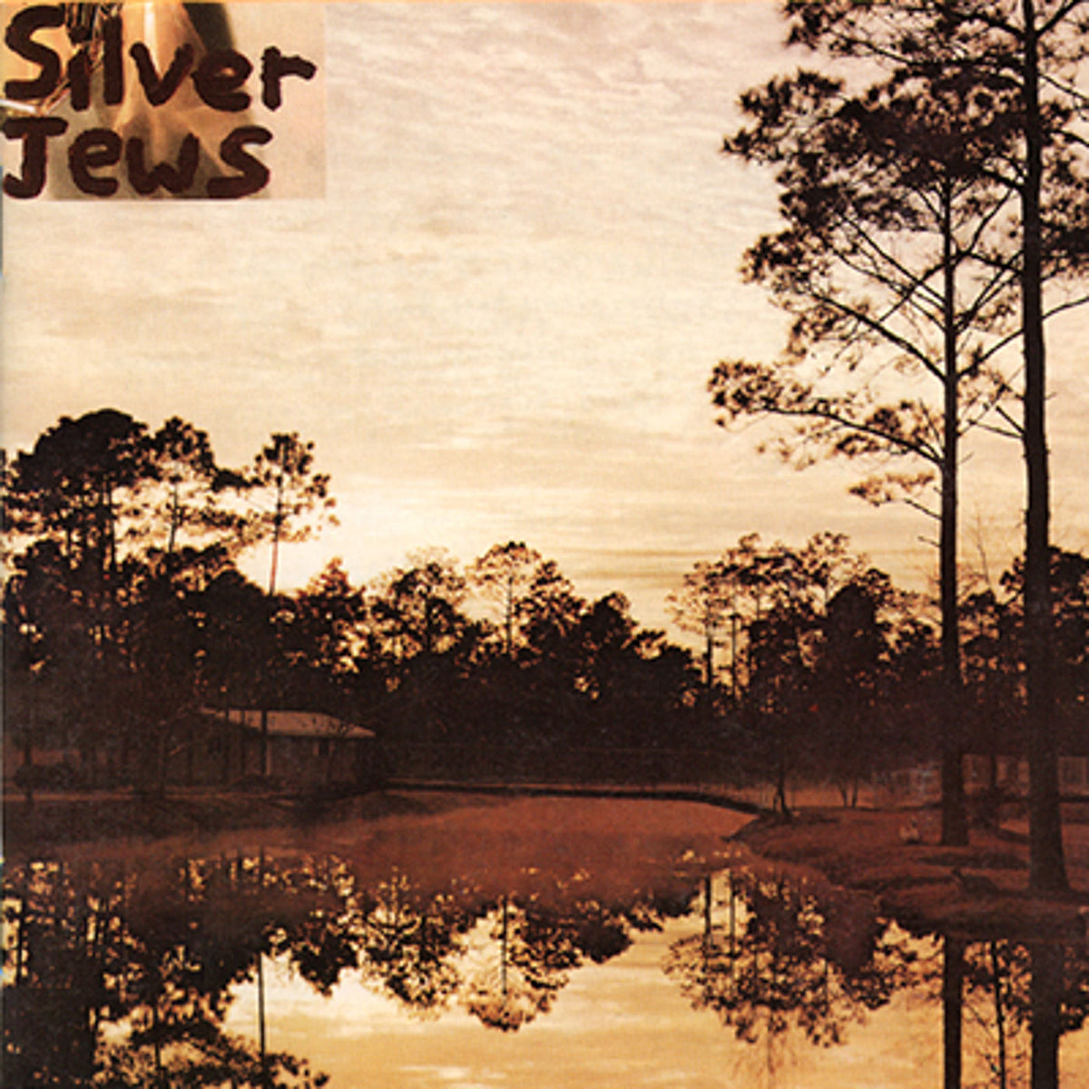 Silver Jews – Starlite Walker vinyl cover
