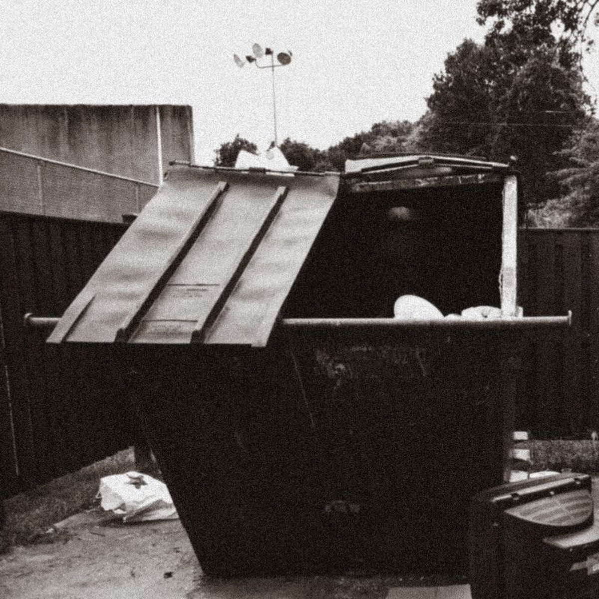 Doppelgangaz – Dumpster Dive vinyl record cover