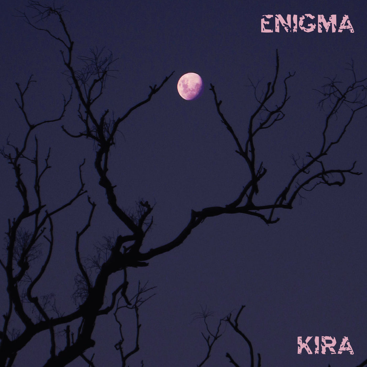 Kira Roessler – Enigma vinyl record cover