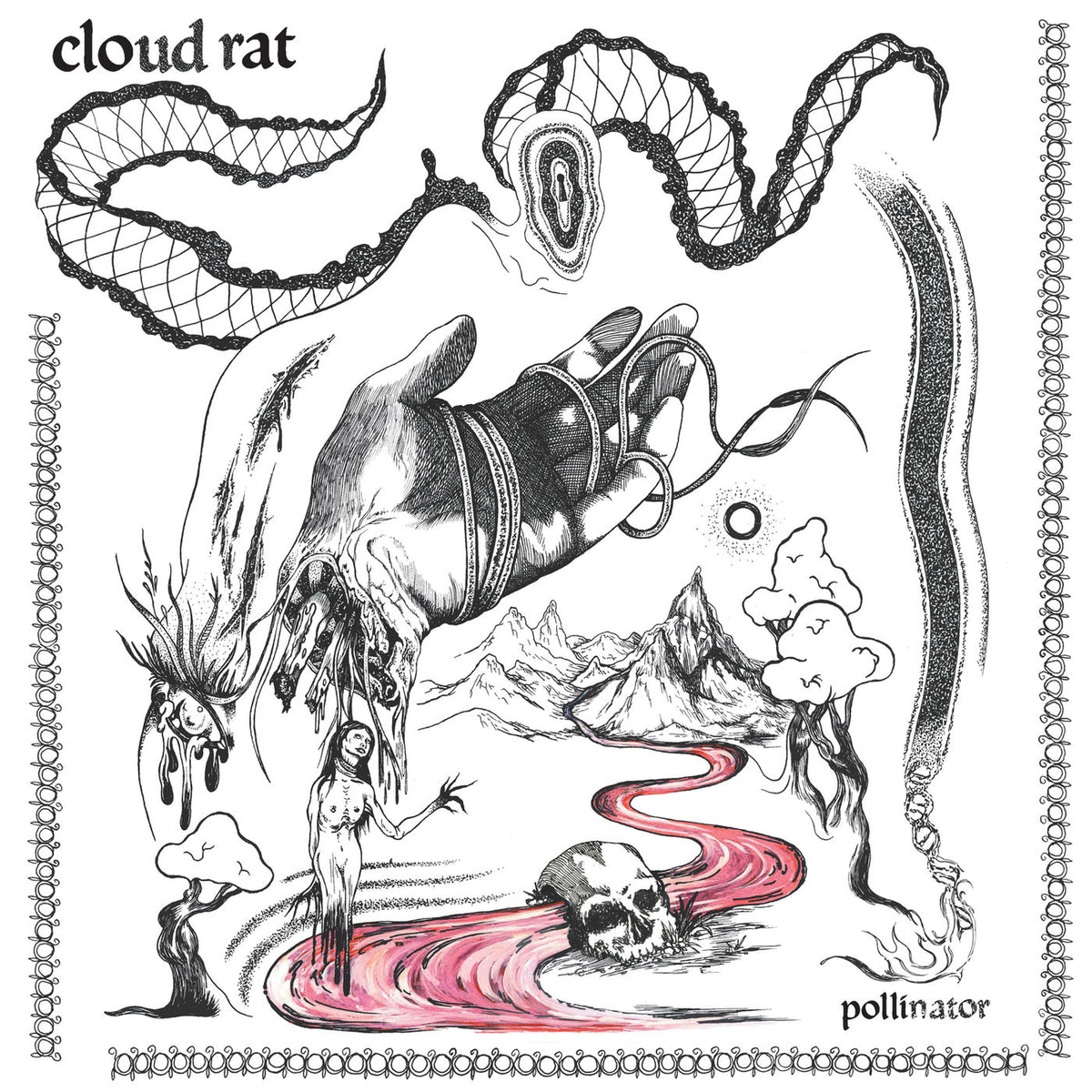 Cloud Rat – Pollinator vinyl record cover