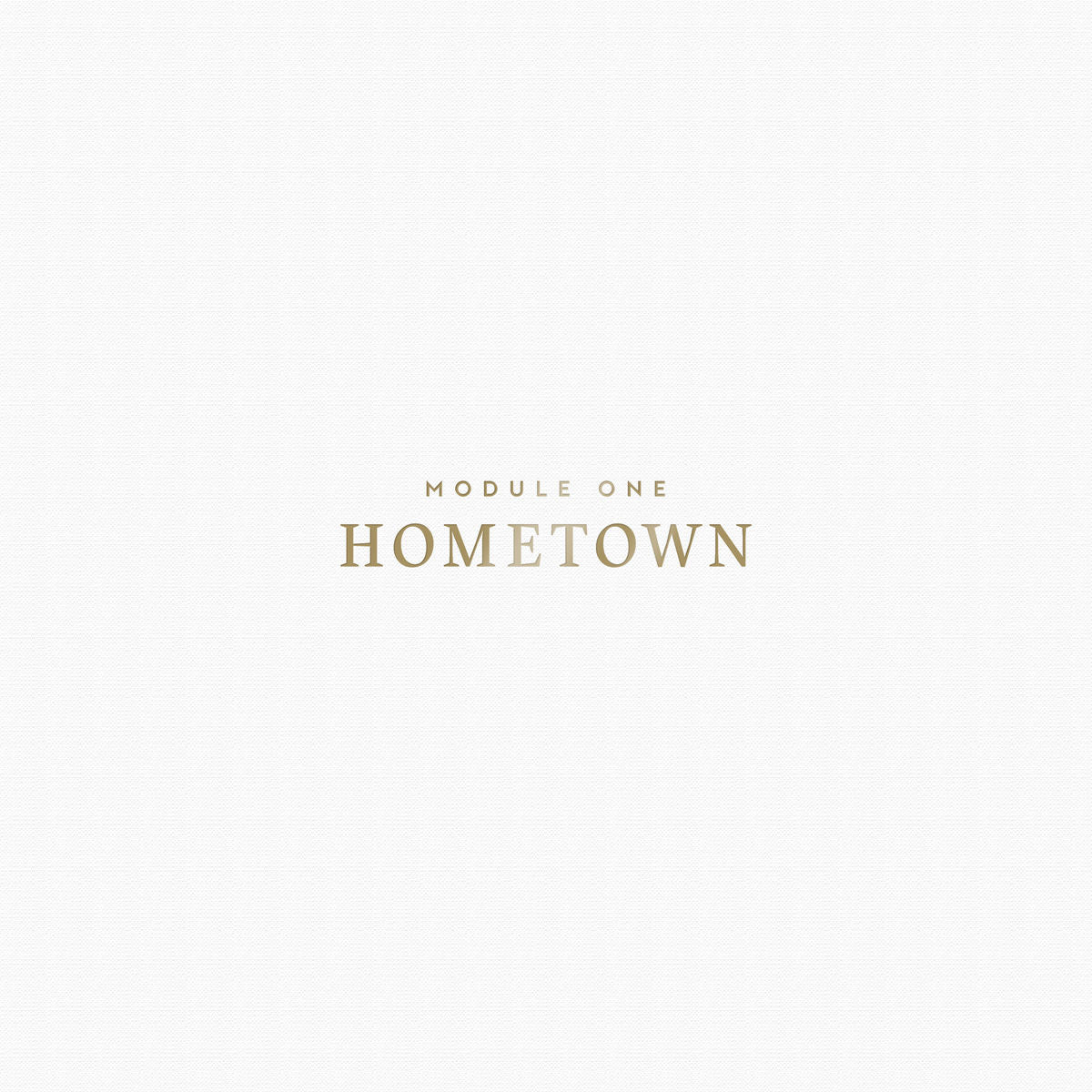 Module One – Hometown vinyl record cover