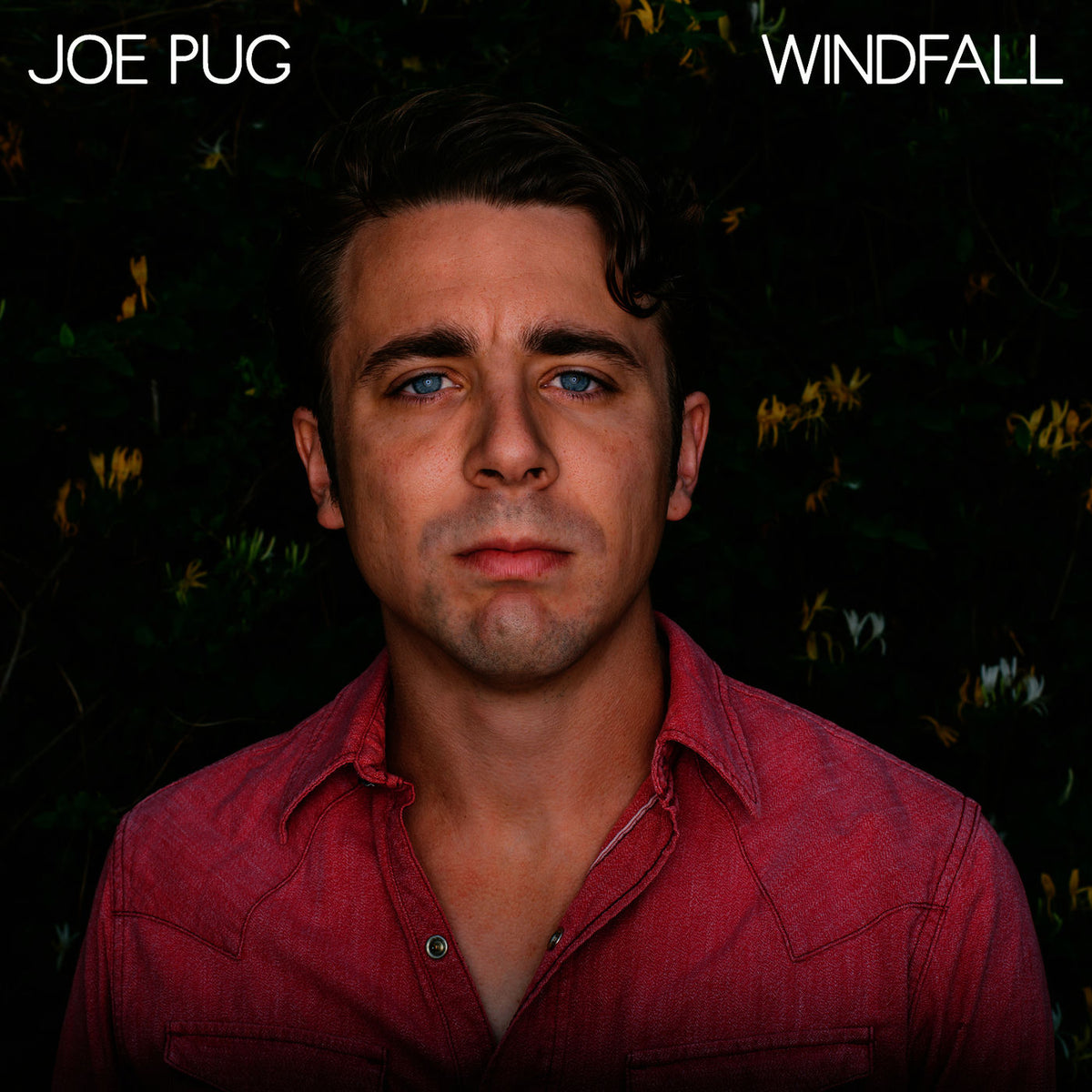Joe Pug – Windfall vinyl record cover