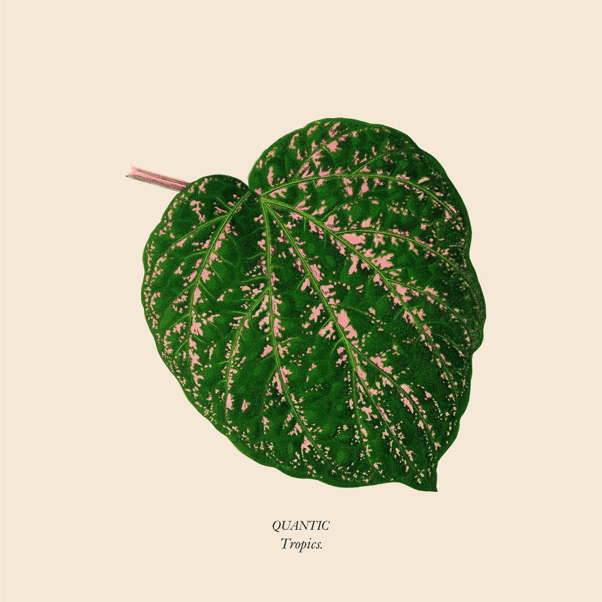 Quantic – Tropics vinyl cover