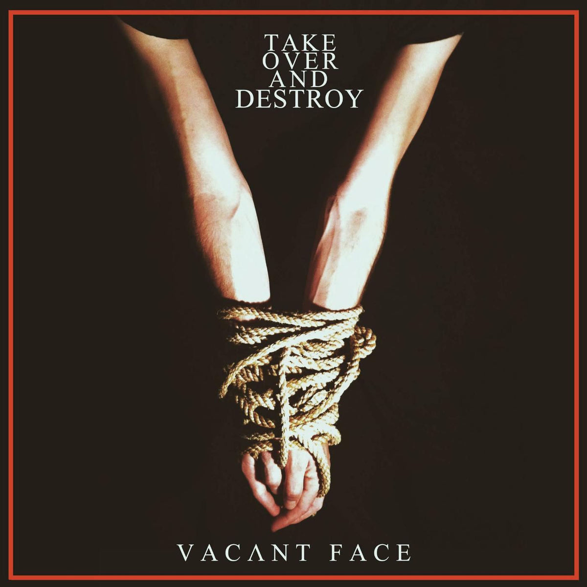 Take Over And Destroy – Vacant Face vinyl record cover