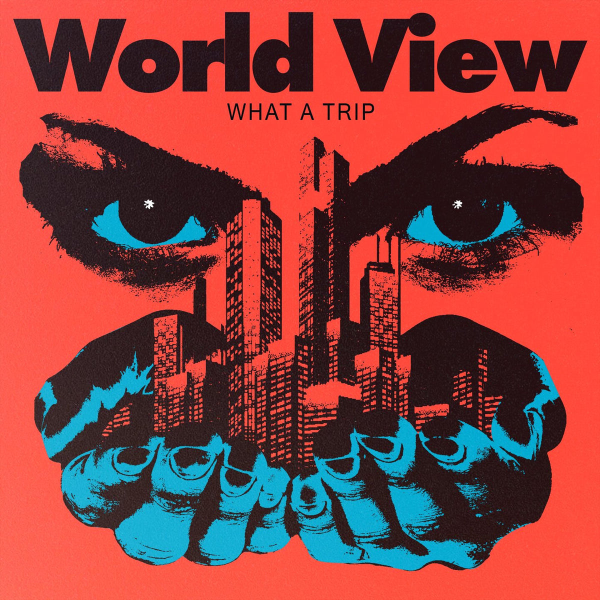 World View – What a Trip vinyl cover