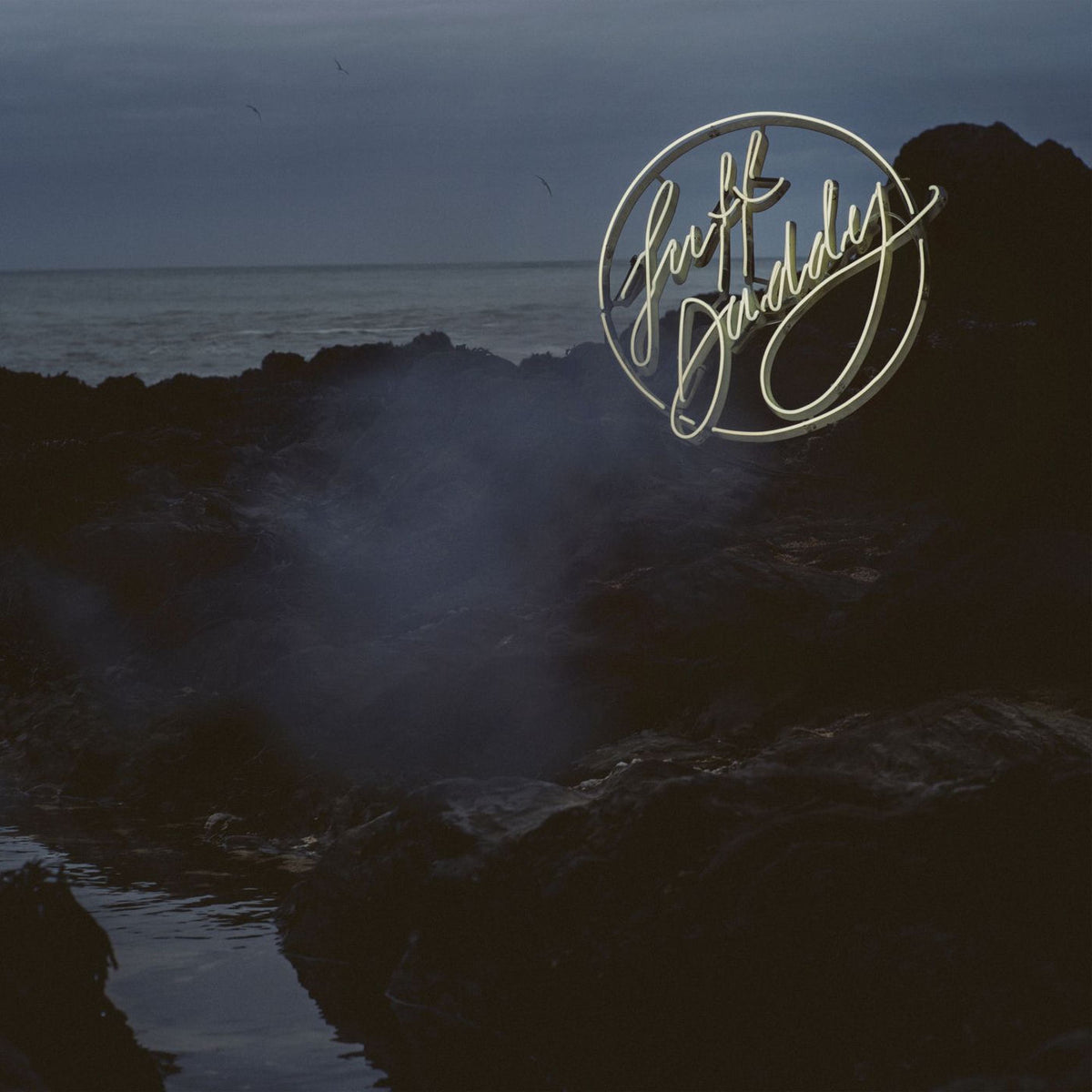 Suff Daddy – Bird Songs vinyl record cover