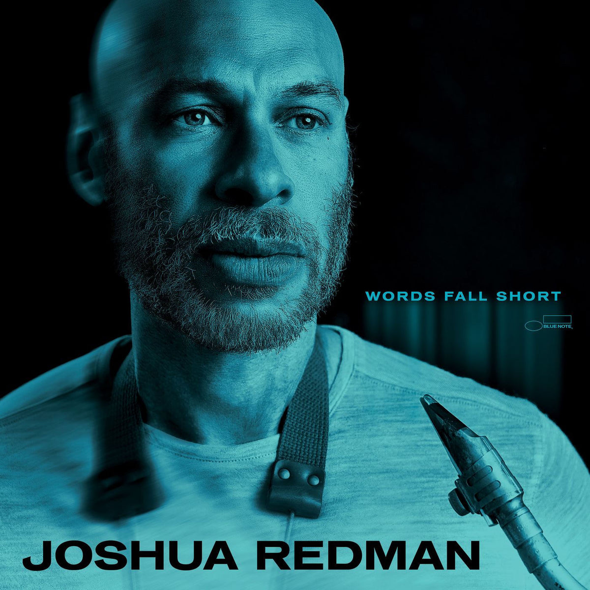 Joshua Redman – Words Fall Short vinyl record cover