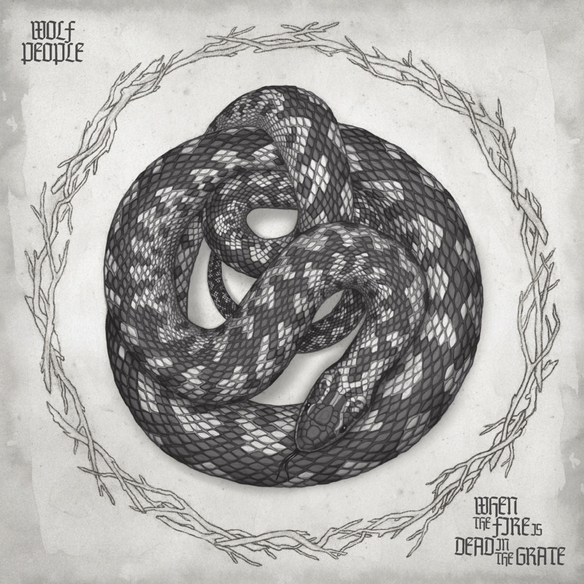 Wolf People – When The Fire Is Dead in the Grate vinyl cover