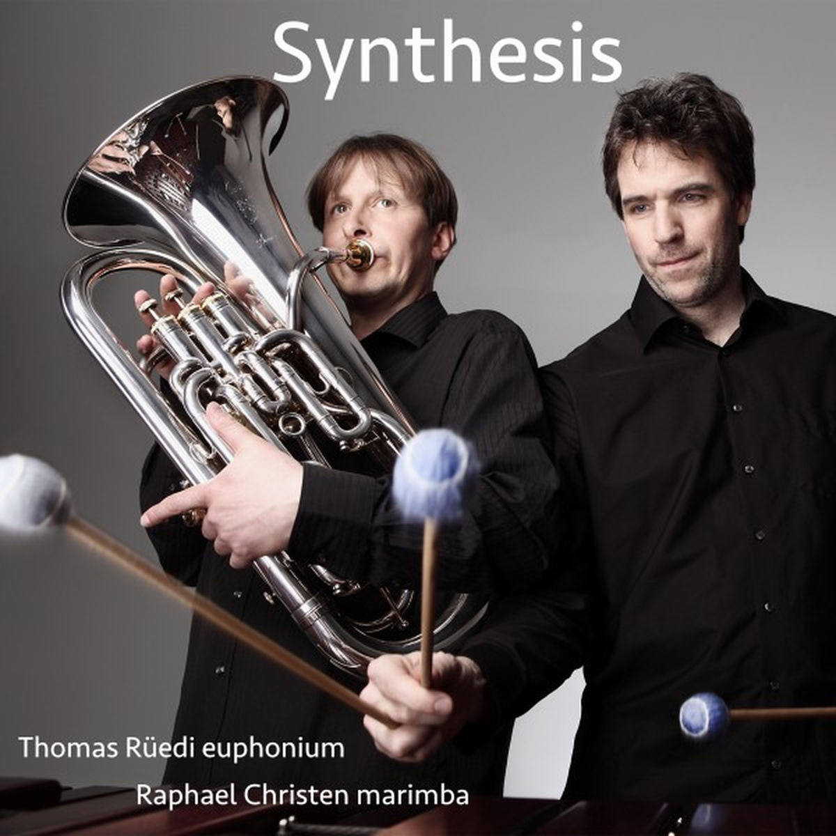 Synthesis – Synthesis vinyl record cover