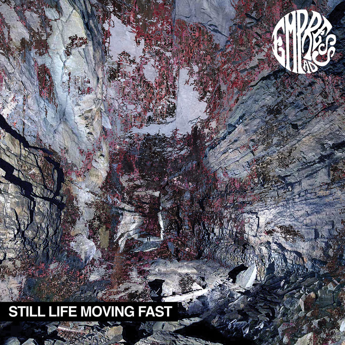 Empress Ad – Still Life Moving Fast vinyl record cover