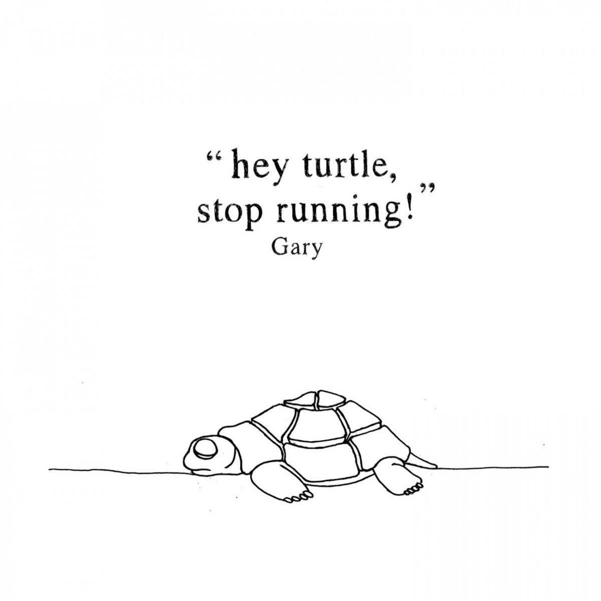 Gary – Hey Turtle, Stop Running! vinyl record cover