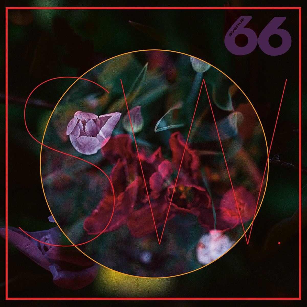 SW. – Truelips vinyl record cover