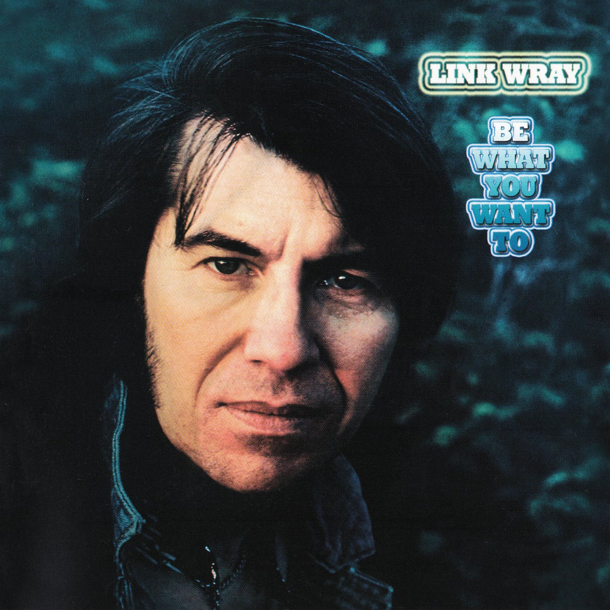 Link Wray – Be What You Want To — record image 1