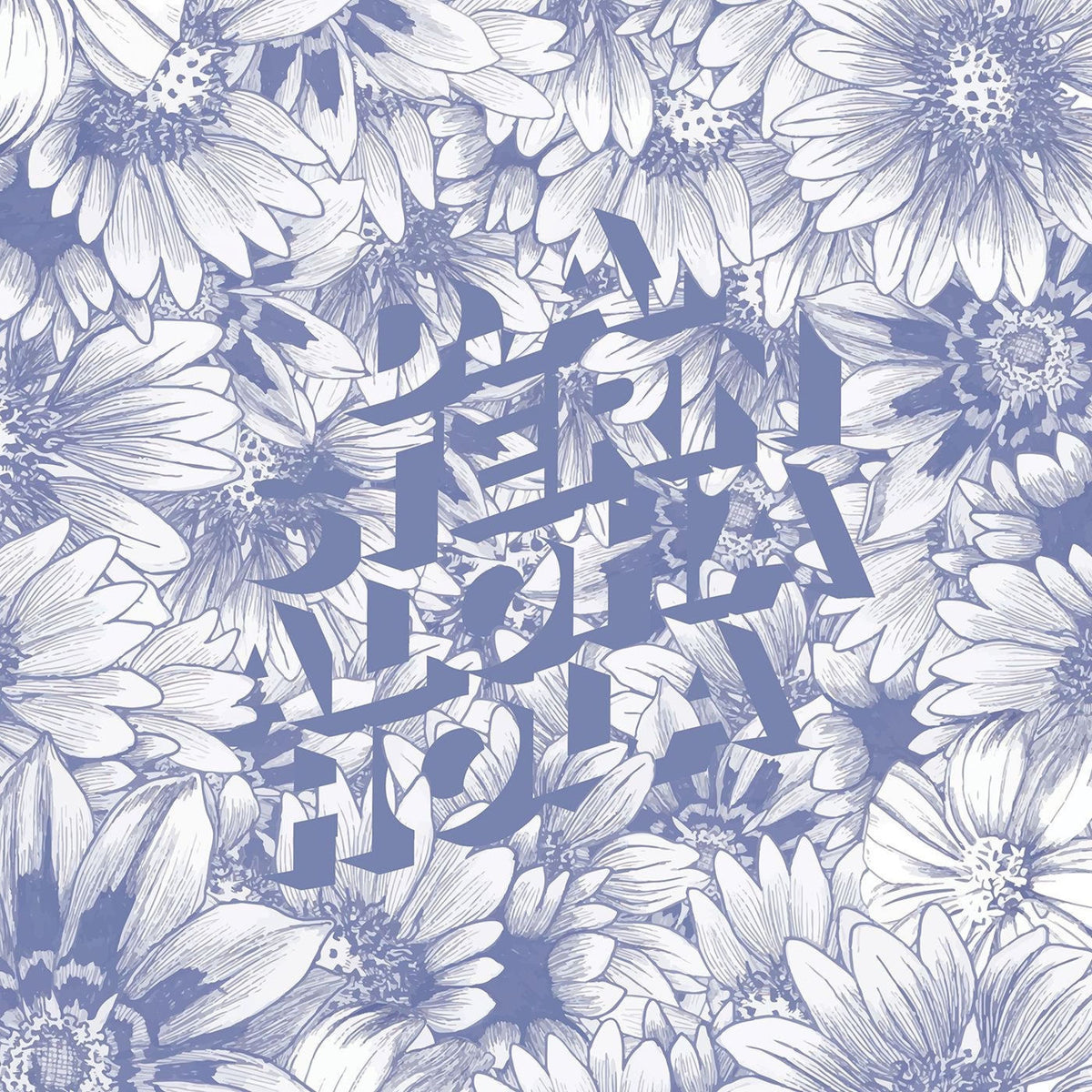 D.A. Stern – Aloha Hola vinyl cover