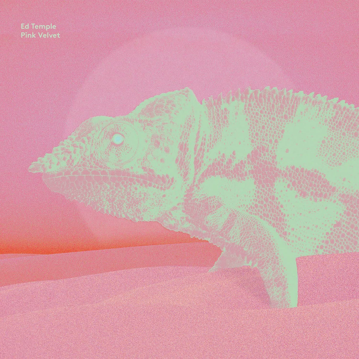 Ed Temple – Pink Velvet vinyl cover