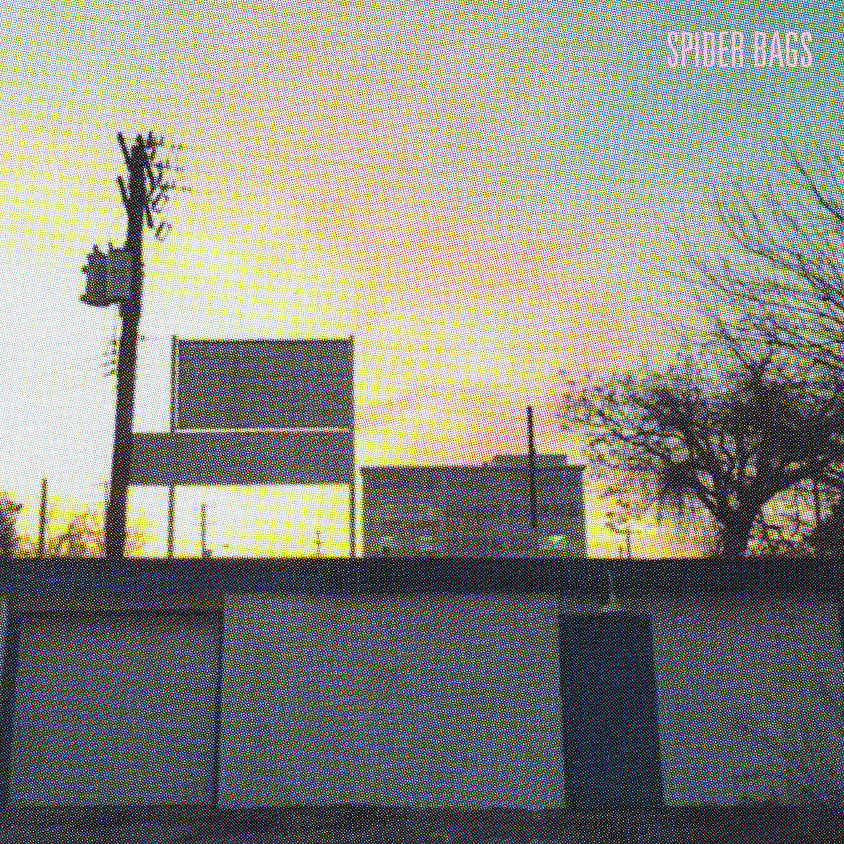 Spider Bags – Someday Everything Will Be Fine vinyl record cover