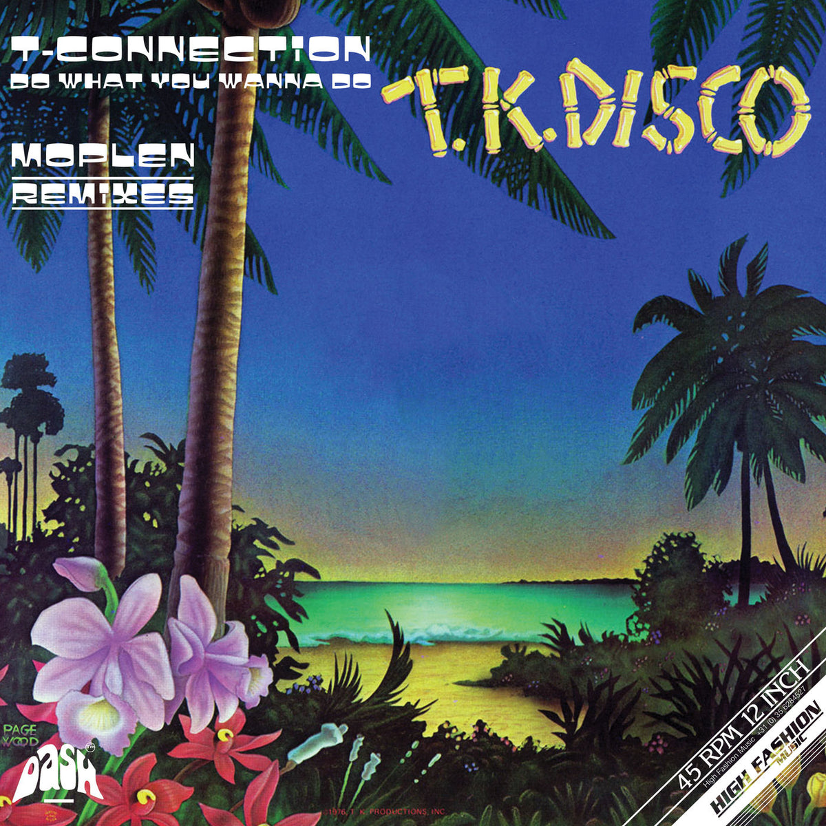 T-Connection – Do What You Wanna Do (Moplen Remixes) vinyl record cover