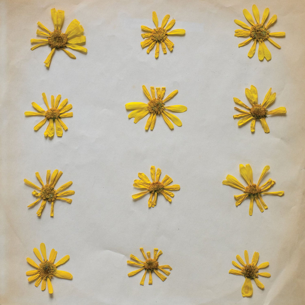 The Molochs – Flowers in the Spring vinyl record cover