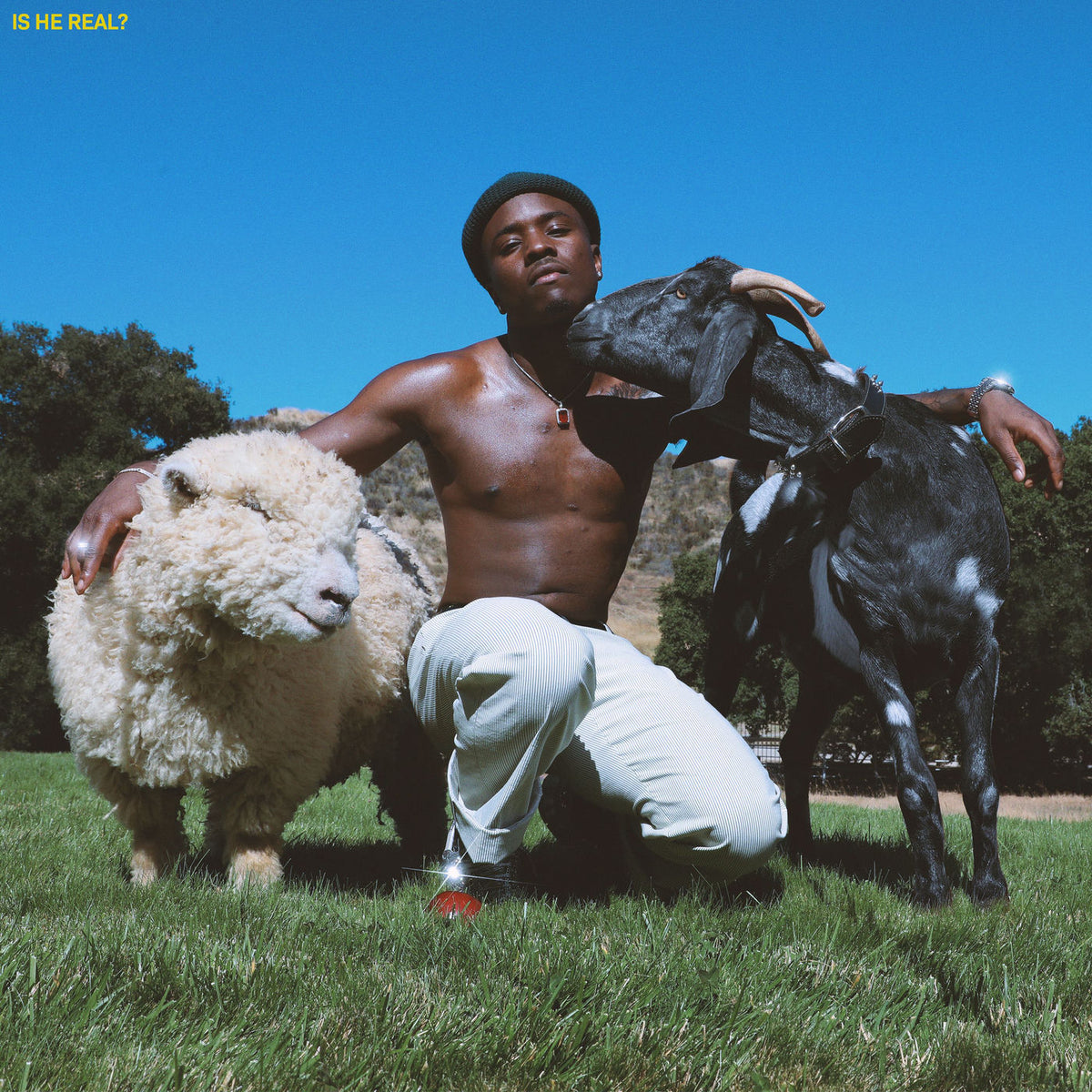 IDK – Is He Real? vinyl record cover