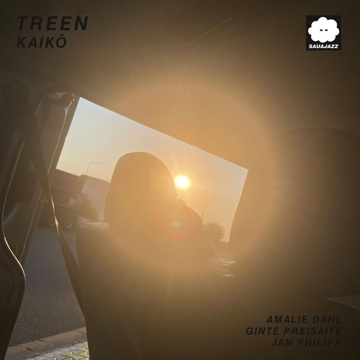 Treen – Kaiko vinyl record cover