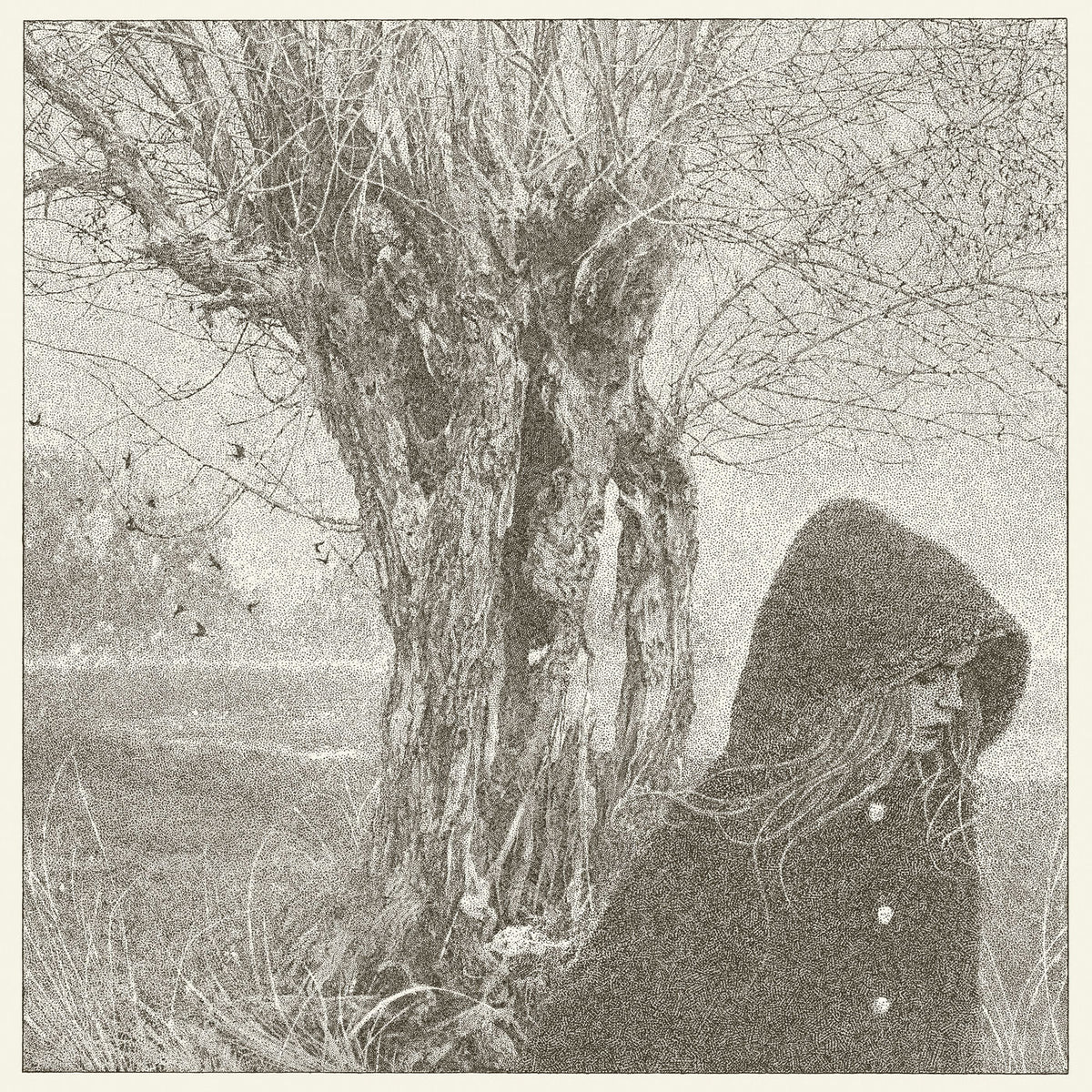 Lankum – Between the Earth and Sky vinyl record cover