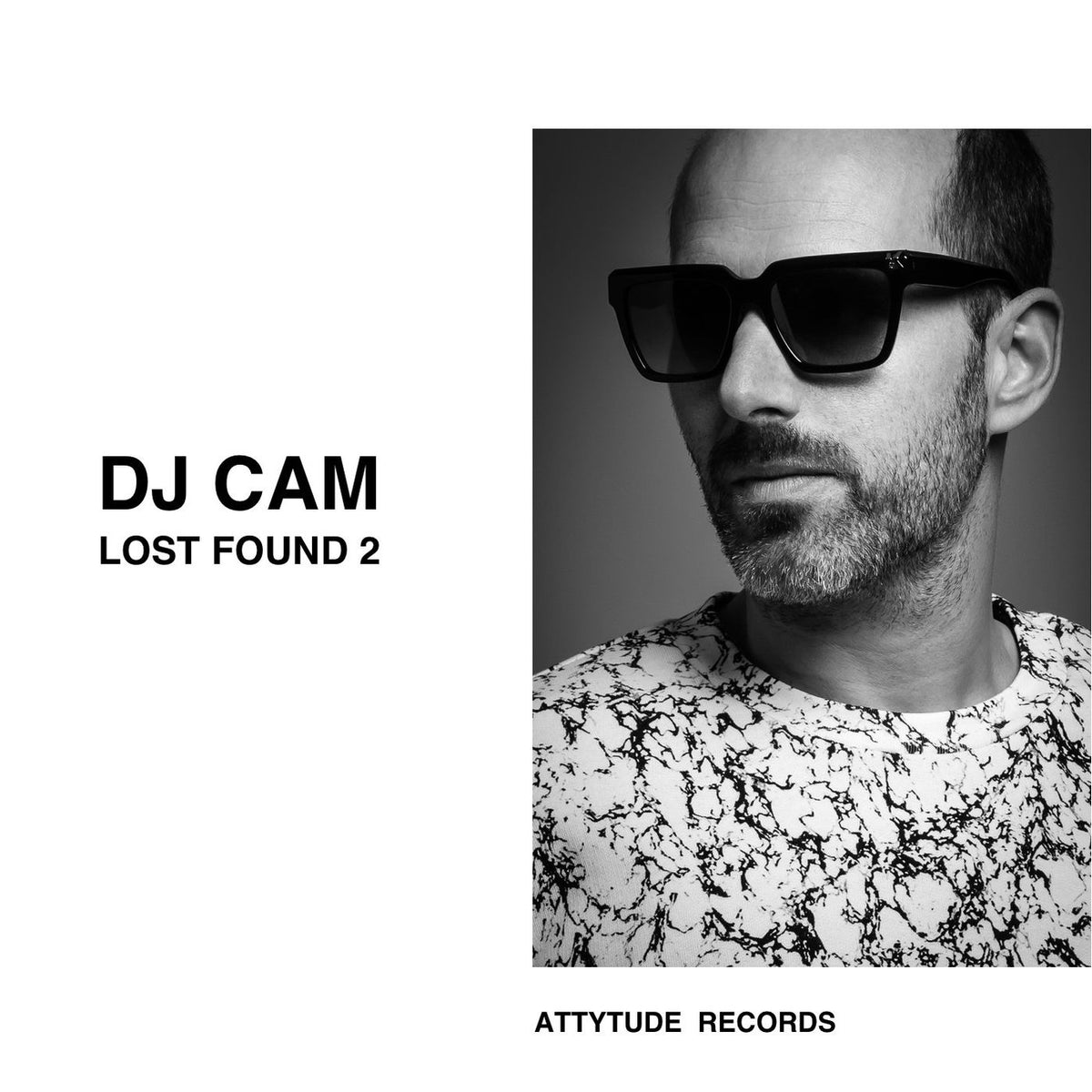 Dj Cam – Lost Found 2 vinyl record cover
